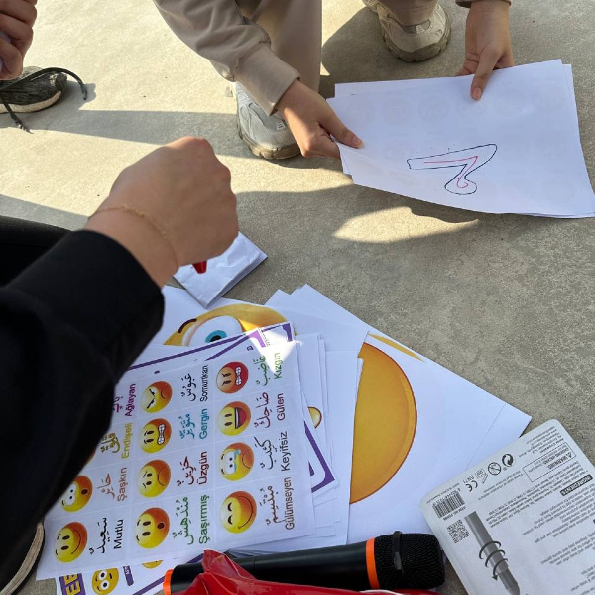 Pss programs