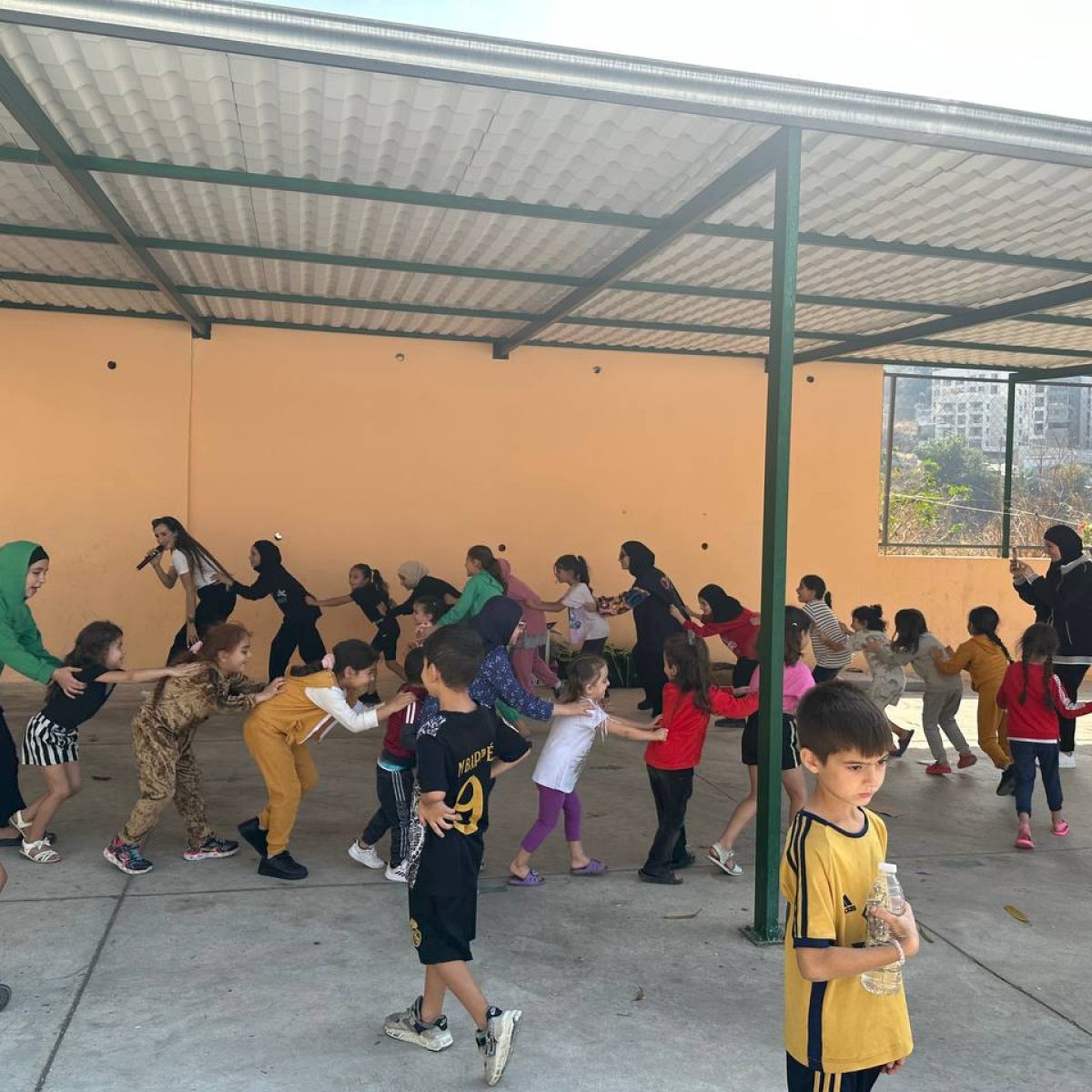 Pss programs