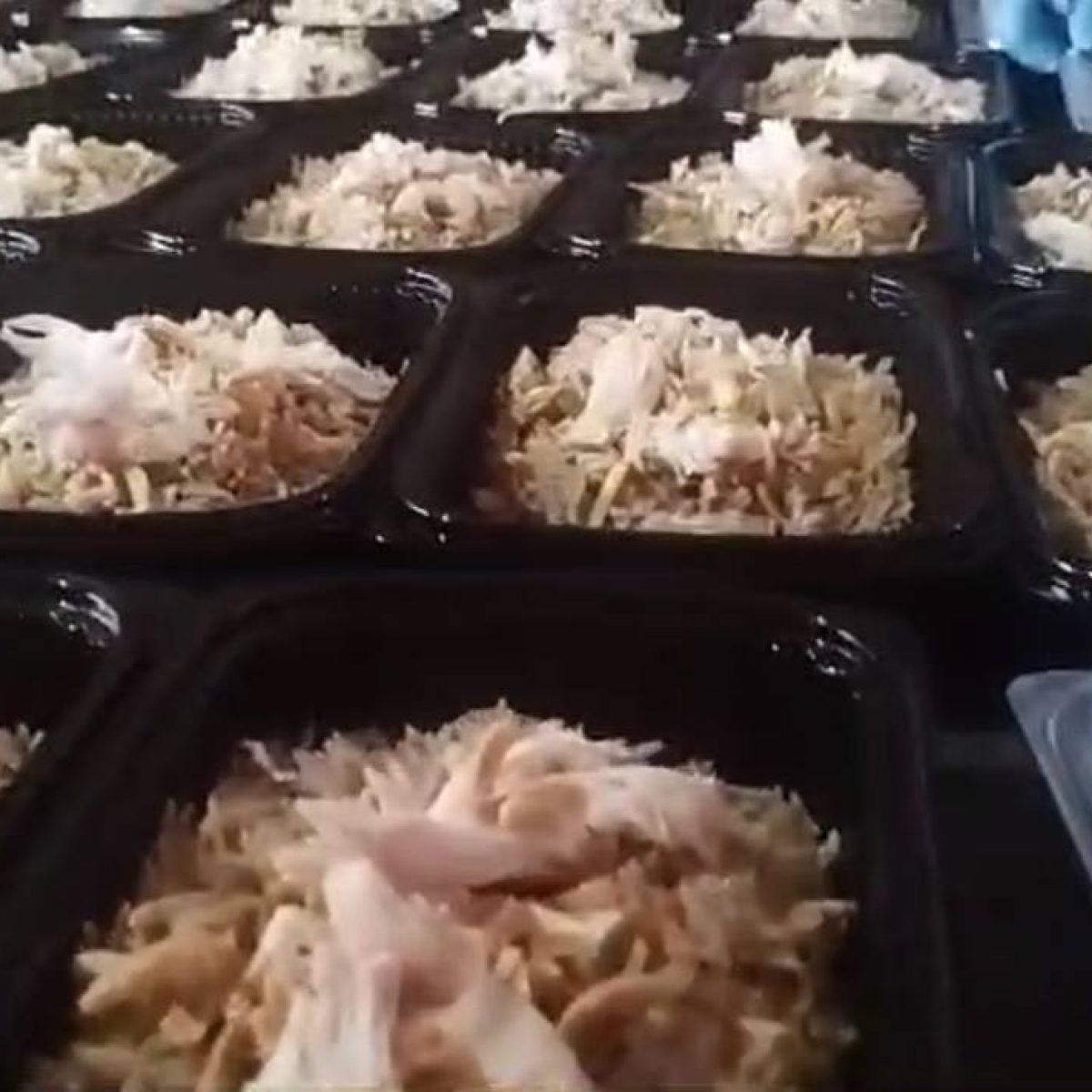 برامج الطوارئ